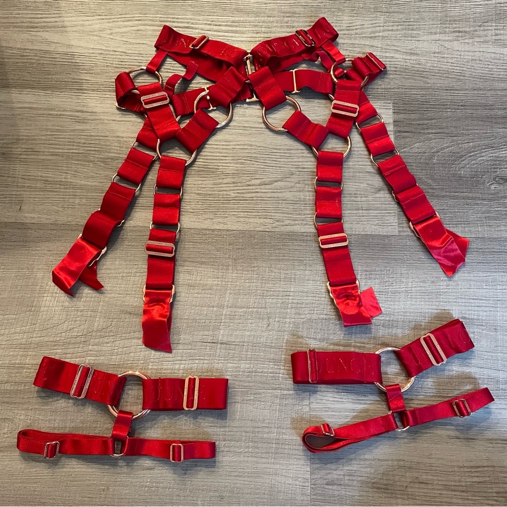 RARE Lounge Underwear NO LONGER SOLD Storm Red Garter SET Size XS